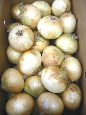 ���󤭤� �񻺶̤ͤ�No.1��øϩ��!���ޤͤ���Ǭ10kg�ν̾�����