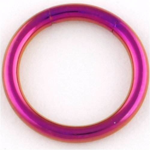 Color Coated Stainless Steel Segment Ring 14g 3 8 Purple