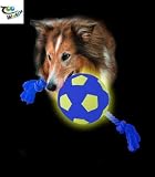 Karlie 45540 Aqua Ball Neopren leuchtend Hundespielzeug