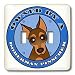 Janna Salak Designs Dogs - Owned By a Doberman Pinscher Red and Tan Coat - Blue - Light Switch Covers - double toggle switch