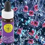 Flower Essence FES Quintessentials Purple Monkeyflower Supplement Dropper -- 0.25 fl oz