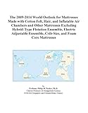 The 2009-2014 World Outlook for Mattresses Made with Cotton Felt, Hair, and Inflatable Air Chambers and Other Mattresses Excluding Hybrid-Type Flotation ... Crib-Size, and Foam Core Mattresses