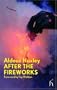 After the Fireworks (Hesperus Modern Voices)