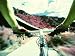 First Person Perspective of a Bicycle Ride Photographic Poster Print, 24x18