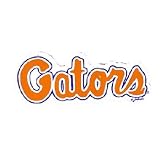 University Of Florida Car Magnet Gators Small 2 Pa Case Pack 48