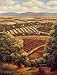 Tuscany Vistas III, Art Poster by John Zaccheo
