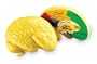 Learning Resources Cross Section Human Brain Model