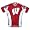 University of Wisconsin Badgers Cycling Jersey (S)