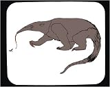 Mouse Pad with mammal, anteater, eating, animal