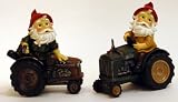 Garden Gnome on Tractor
