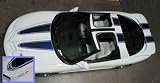1998-02 Ram Air Trans Am Stripe Kit (30th Anniversary Style w/birds) (T-Top) - BLACK