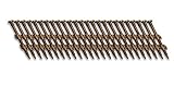 Fasco SCFP620CTSEGBR Scrail Fastener BeckDeck Thread 20-22-Degree Plastic Strip Saddle Brown Square 