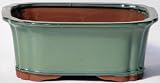 BuyBonsai's Bonsai Pot 8.5 Rectangle Glazed Green