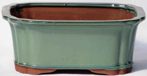 BuyBonsai's Bonsai Pot 10.5 Rectangle Glazed Green