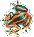 Rainforest Frogs Shape Stickers