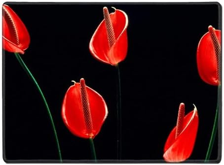 Calla Lilies Flowers Stems Red Black Placemat Pads Customized Made To Order Support Ready 15 6/8 Inch (400mm) X 11 13/16 Inch (300mm) X 1/8 Inch (3mm) High Quality Eco Friendly Cloth With Neoprene Rubber Liil Place Mouse Pad Desktop Mousepad Laptop Mousepads Comfortable Table Desk Kitchen Computer Mouse Mat Cute Gaming Mouse_Pad