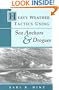 Heavy Weather Tactics Using Sea Anchors & Drogues