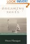 Dreaming Souls: Sleep, Dreams and the Evolution of the Conscious Mind (Philosophy of Mind)