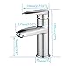 GAINWELL Landstar Single Handle Single Hole Bathroom Sink Faucet Polished Chrome