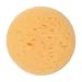 Make-Up Sponge
