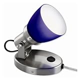 Good Earth Plug-In Chalet Wall/Floor Spot Lamp