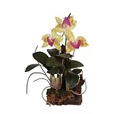 Cattleya w/Root Base Silk Orchid Plant - Yellow
