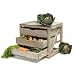 Image of Vegetable Store