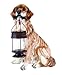 GTMax Tan/Brown Retriever Dog Carry Solar Lantern B5190A(set of 1)