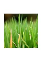 CM Creation Cuadro Decoplex 30X30 Lisiere