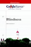 GradeSaver (TM) ClassicNotes Blindness: Study Guide
