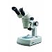 National Optical 420-420AHF-10 Zoom Stereo Microscope with Inclined Head and Fixed Arm Stand, 10x Eyepiece, 1x Objective, Fluorescent Bulb Light Source, 10- 40x Magnification