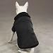 Zack & Zoey Polyester Thermal Lined Dog Jacket, Medium, Black