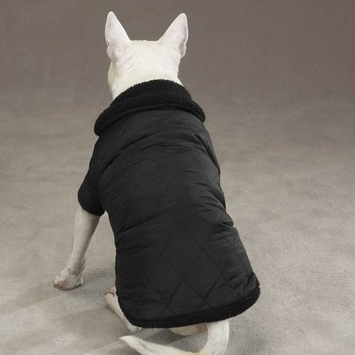 dog coats