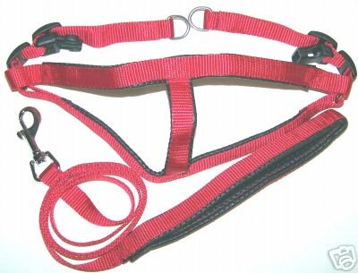 Padded Step-In Dog Harness & Leash Set Size Small 15