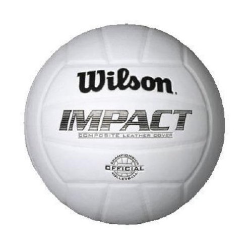 Wilson Impact Volleyball