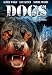 DVD : Dogs