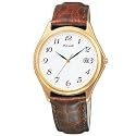 Pulsar Men's Watch #PXD122S