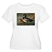 Artsmith, Inc. Women's Plus Scoop T-Shirt Wood Ducks