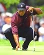 Tiger Woods PGA Golf 8x10 Photograph Tiger Eyes Putting