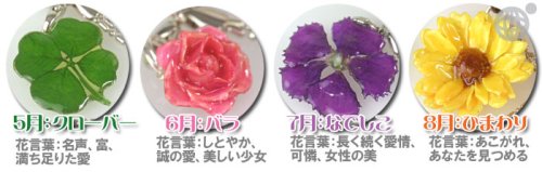 Cover image : 美しい生花で作られた誕生花**リアルフラワー携帯ストラップ(7月/なでしこ)