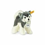 Steiff Bernie Husky Plush, Grey/White [並行輸入品]