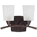 Globe Electric 61162 2-Light Wall Mount Light, Copper Patina