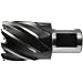 Alfra Black High Speed Steel Co Cutter, Weldon Shank, 1" Diameter