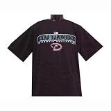 MLB Arizona Diamondbacks Authentic Collection Black T-Shirt