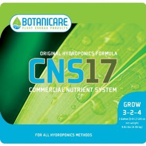 bloom coco 3 in 1 reviews