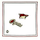 Phoenix Coyotes NHL Jersey Rally Bandana