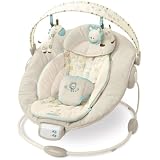 Biscotti Baby Bouncer