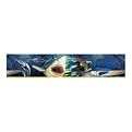 Extreme Fishing Wall Border - 9x41"