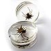 Pair of 5/8 Gauge (16mm) Spider Inlay Bug Plugs - Double Flare