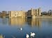 Swans in Front of Leeds Castle, Kent, England Photographic Poster Print by G Richardson, 24x18